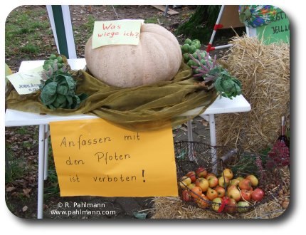 Herbstmarkt 2007